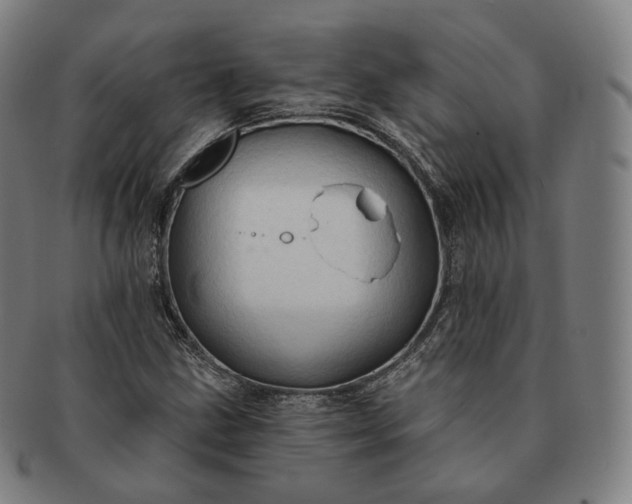 X0000091291211200708241021