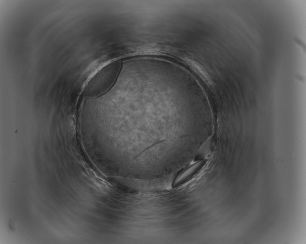 X0000091291212200708241021