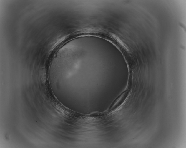 X0000091291213200708241021