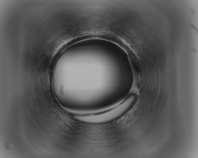 X0000091291214200708241021