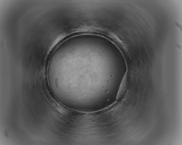 X0000091291216200708241021