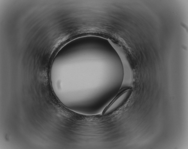 X0000091291218200708241021