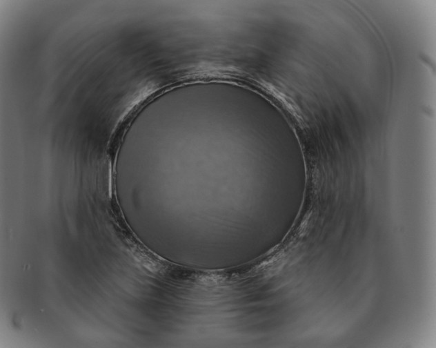 X0000091291219200708241021