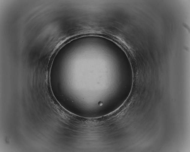 X0000091291220200708241021