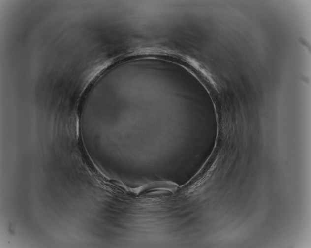 X0000091291221200708241021