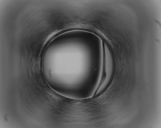 X0000091291222200708241021