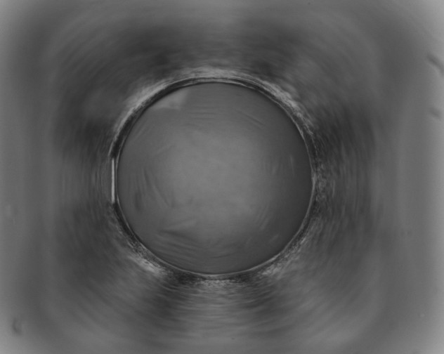 X0000091291223200708241021