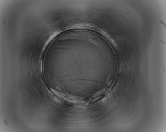 X0000091291224200708241021