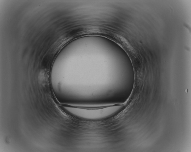 X0000091291225200708241021