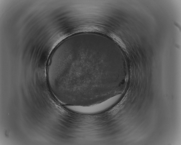 X0000091291226200708241021