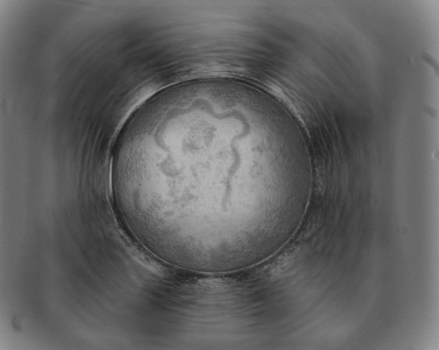 X0000091291227200708241021