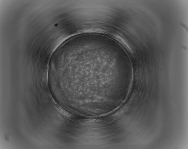 X0000091291228200708241021