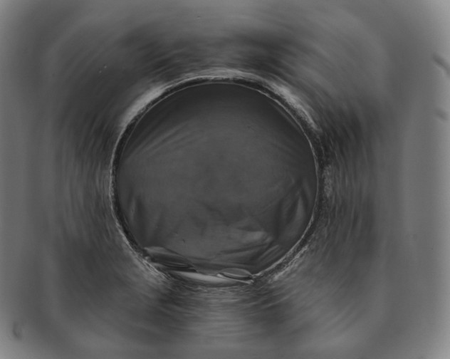 X0000091291229200708241021