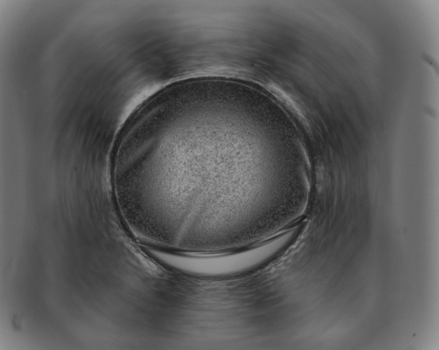 X0000091291230200708241021