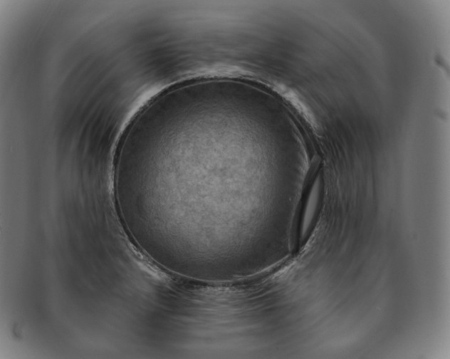 X0000091291232200708241021