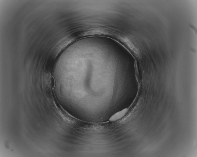 X0000091291233200708241021