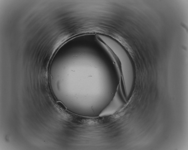 X0000091291234200708241021