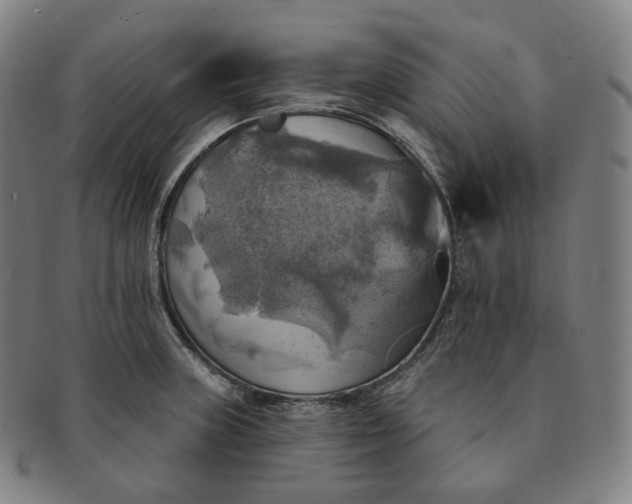 X0000091291235200708241021