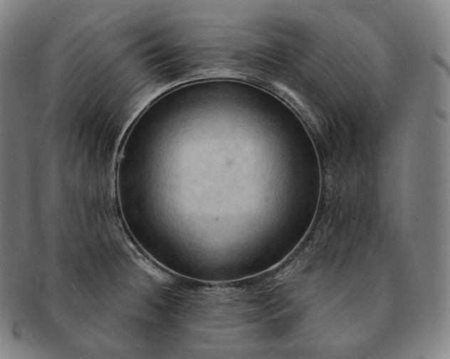 X0000091291236200708241021