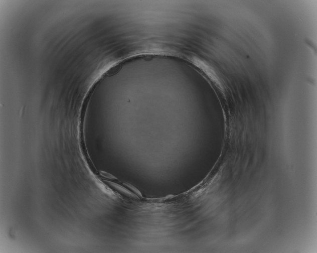 X0000091291237200708241022