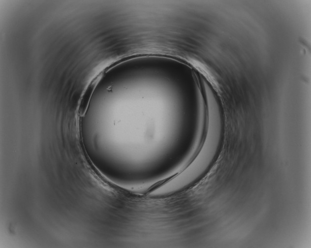 X0000091291238200708241022