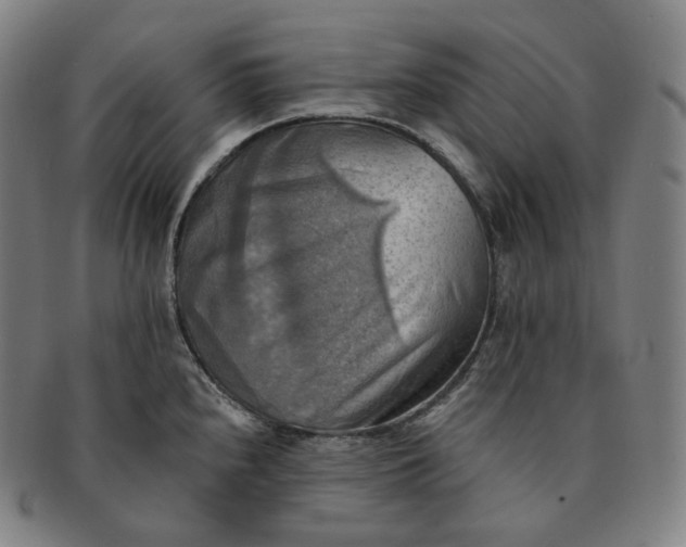 X0000091291240200708241022