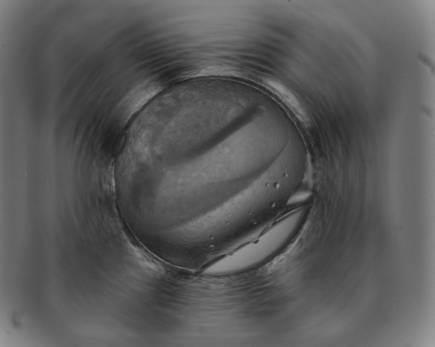 X0000091291241200708241022