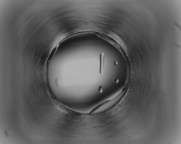 X0000091291242200708241022