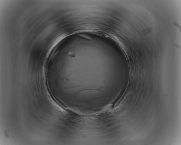 X0000091291243200708241022