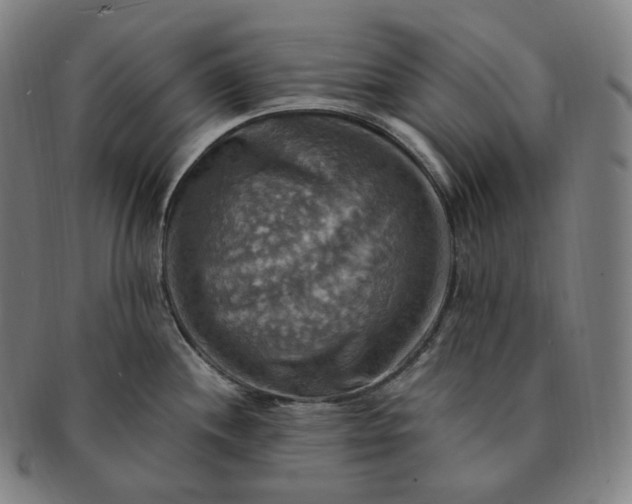 X0000091291244200708241022