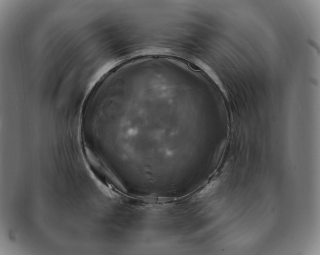 X0000091291245200708241022