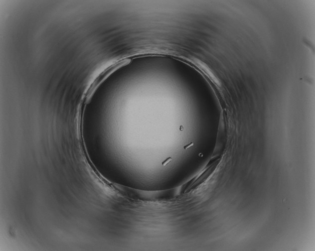 X0000091291246200708241022