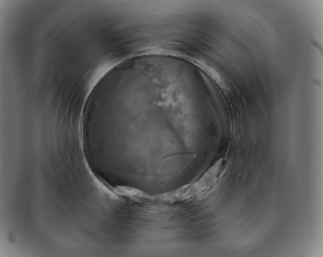 X0000091291247200708241022