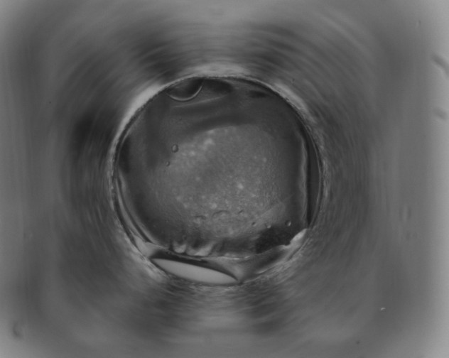 X0000091291248200708241022