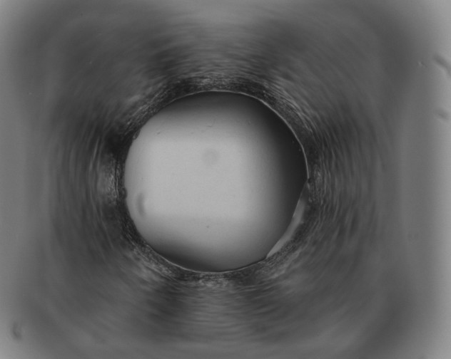 X0000091291250200708241021