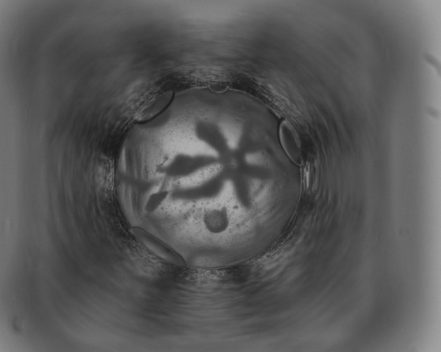 X0000091291251200708241021