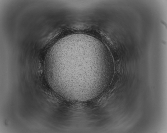 X0000091291253200708241021