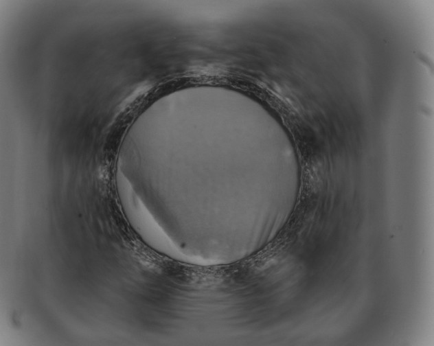 X0000091291254200708241021