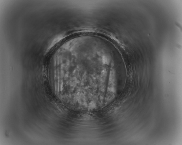 X0000091291255200708241021