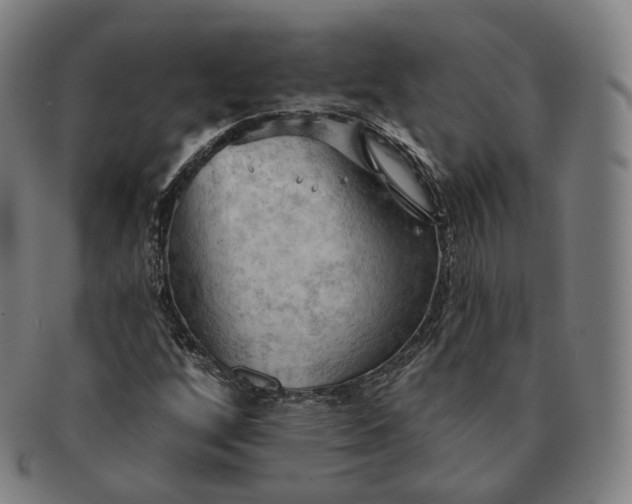 X0000091291256200708241021