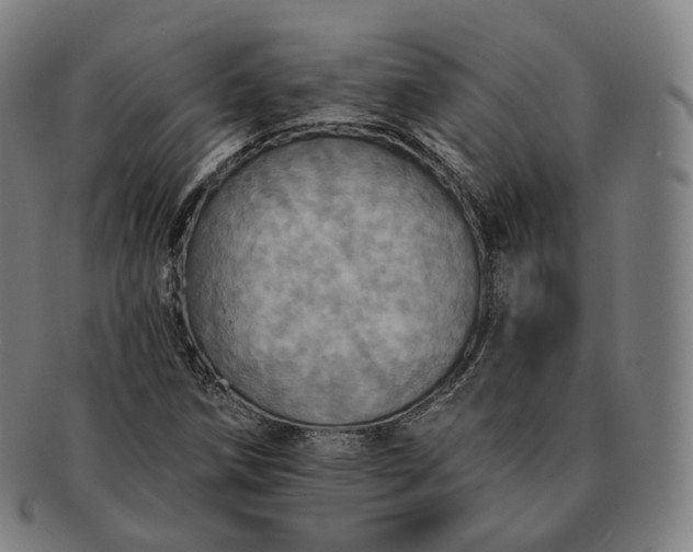 X0000091291258200708241021