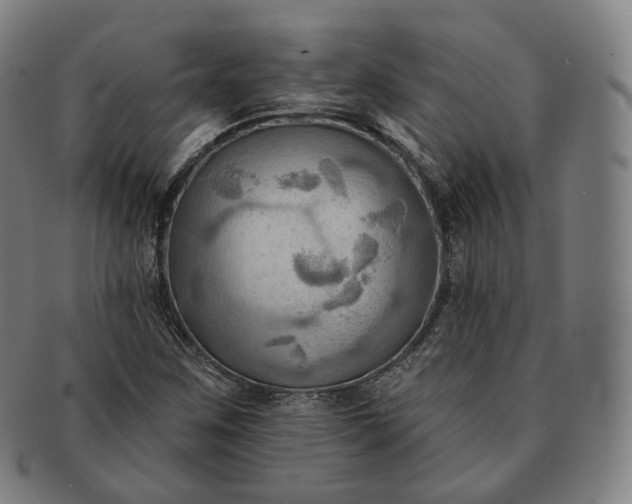 X0000091291259200708241021