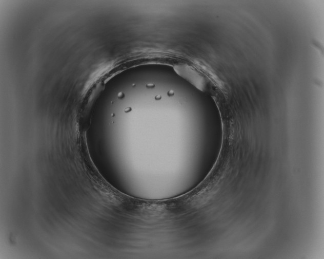 X0000091291261200708241021