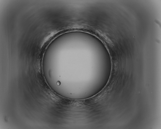 X0000091291262200708241021