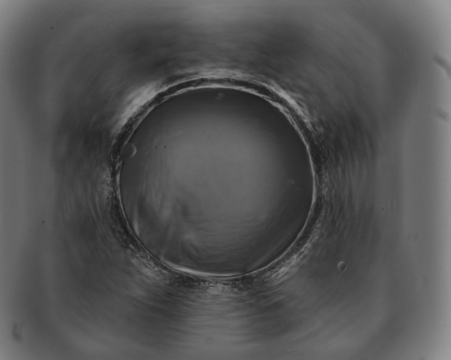 X0000091291263200708241021