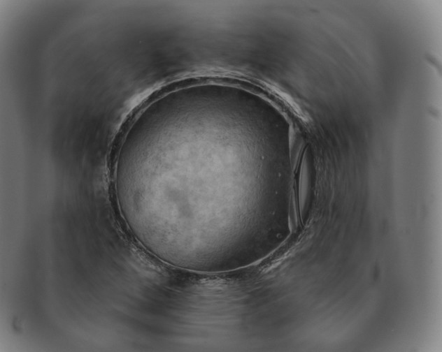 X0000091291264200708241021