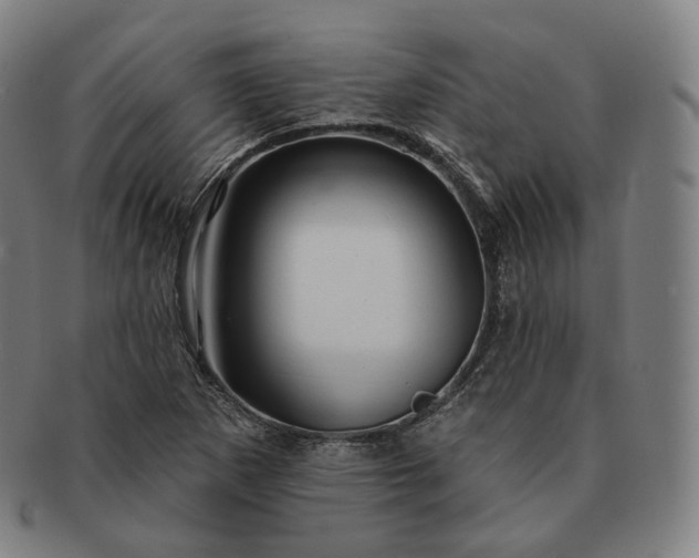 X0000091291265200708241021