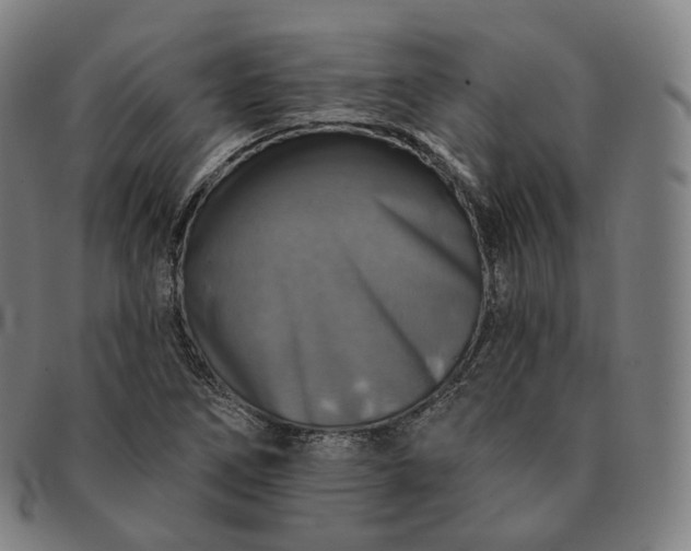 X0000091291266200708241021