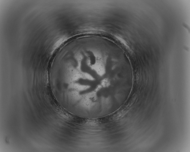 X0000091291267200708241021