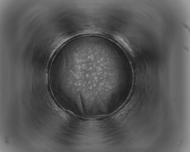 X0000091291268200708241021